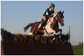 Equestrian Photography by Rick Wilson