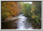 Landscape Photography by Rick Wilson